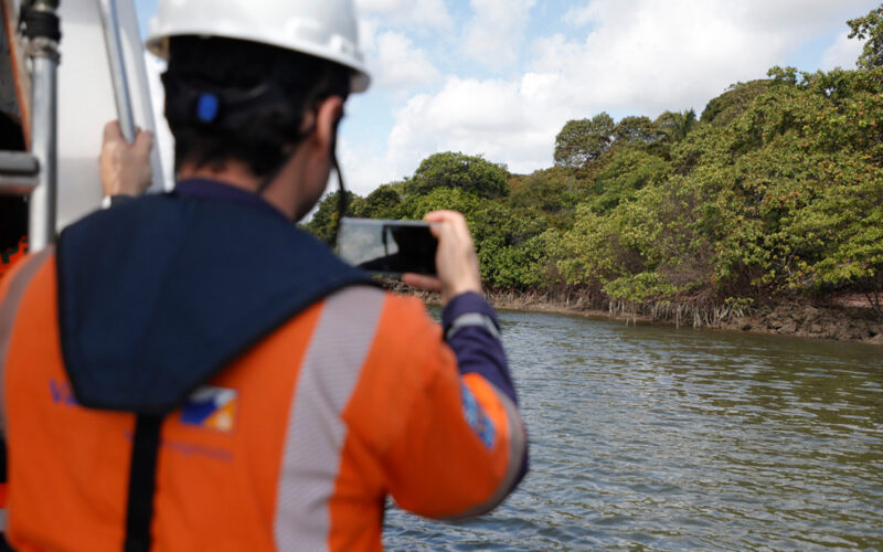 CPRH descarta relação entre dragagem em Suape e supostas mortes de animais marinhos