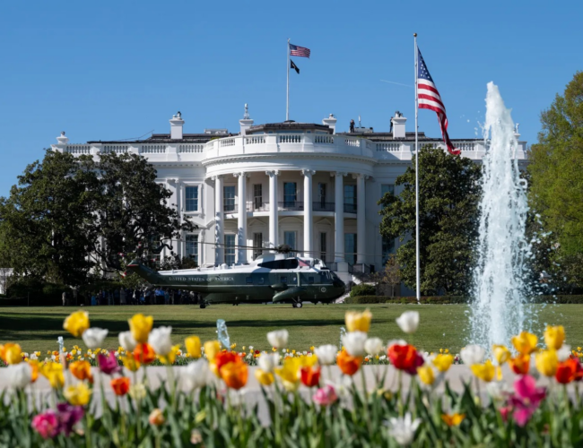 Coca-Cola, eBay e Tesla pedem a Trump recuo em tarifa de 25% sobre produtos brasileiros